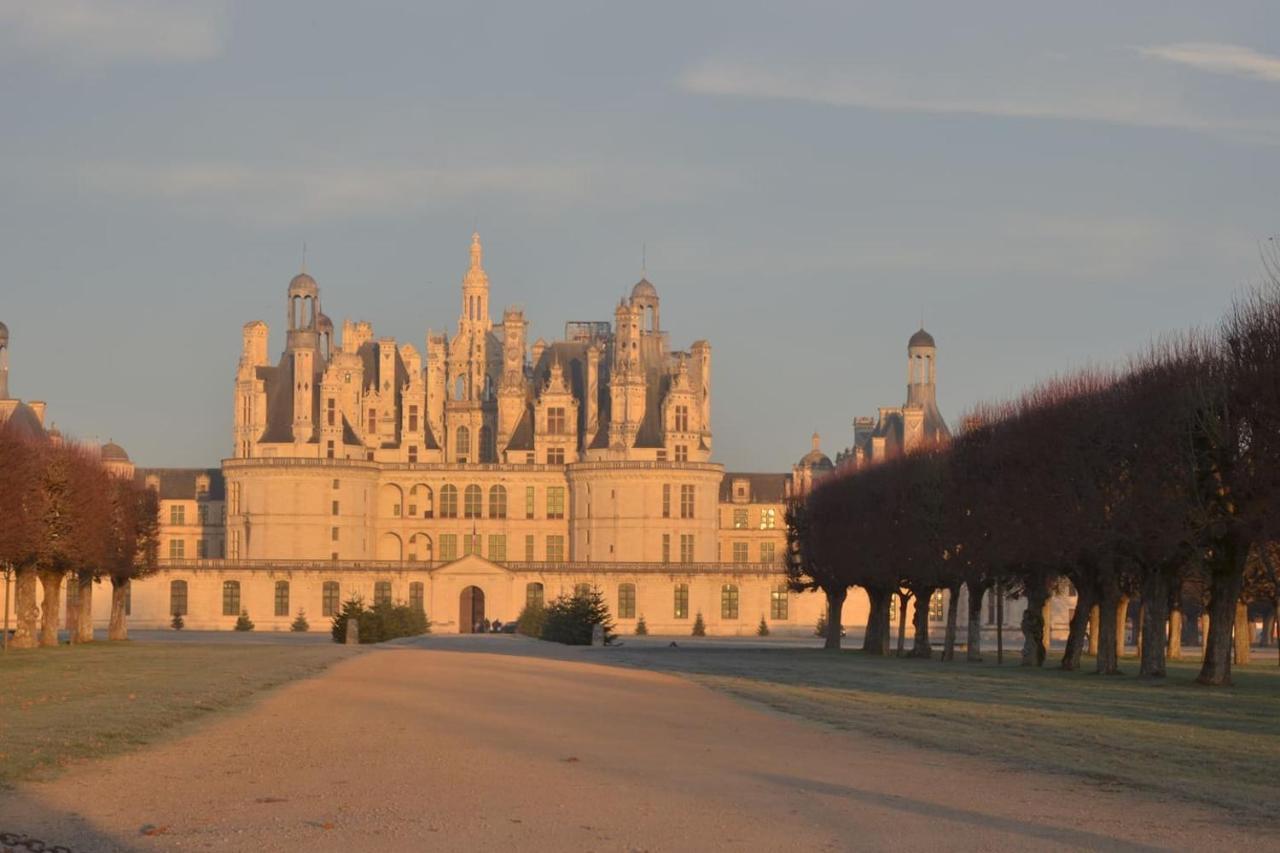 Quartier Historique Confort Blois